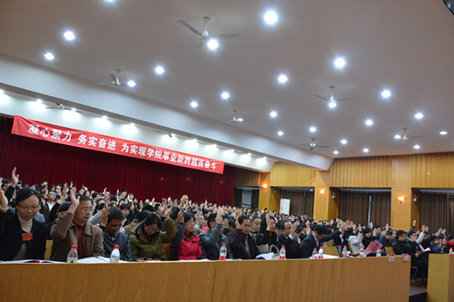 大会通过上一届党委工作报告决议